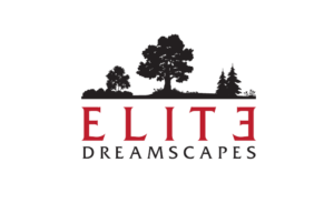 Elite Dreamscapes