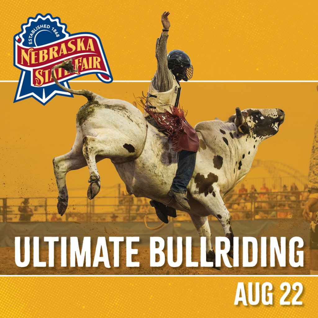 24 NSF 0038 Bullriding Square